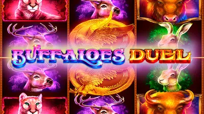 buffaloes duel